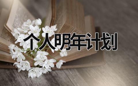 个人明年计划 (17篇）