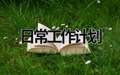 日常工作计划 (19篇）