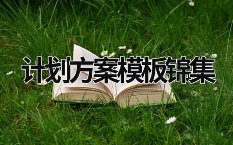 计划方案模板锦集 (16篇）