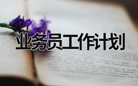 业务员工作计划 (17篇）