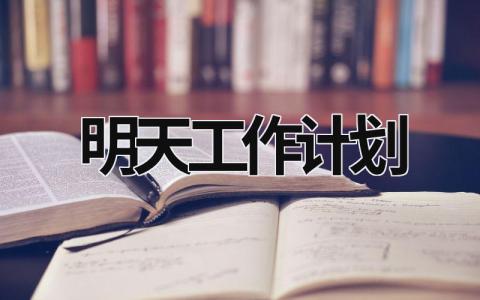 明天工作计划 (16篇）