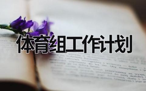 体育组工作计划 (18篇）