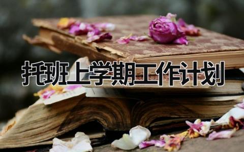 托班上学期工作计划 (17篇）