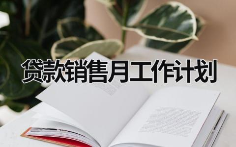 贷款销售月工作计划 (15篇）