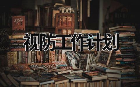 视防工作计划 (14篇）