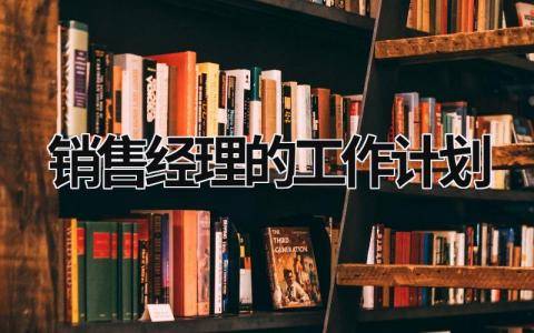 销售经理的工作计划 (17篇）