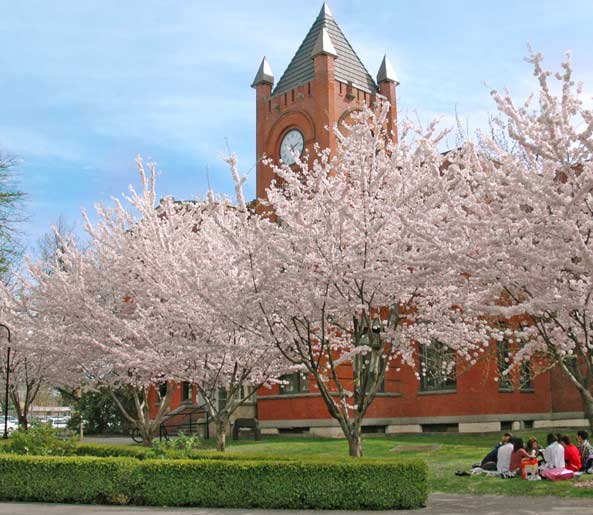 美国计算机科学研究生留学条件 美国计算机科学大学有哪些